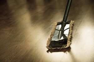 End Of Tenancy Cleaning In London - 80575 species