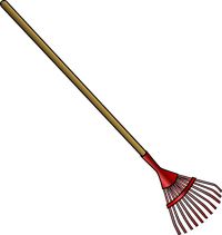 End Of Tenancy Cleaning London Prices - 14204 species