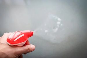 End Of Tenancy Cleaning London Prices - 84419 suggestions