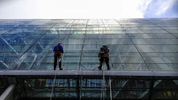 End Of Tenancy Cleaning London Prices - 77623 species