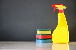 Move Out Cleaning - 33865 species