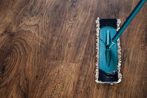 Move Out Cleaning - 55738 bestsellers