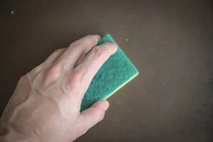 Move Out Cleaning - 97801 types