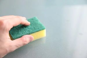 Move Out Cleaning - 11244 customers
