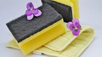 Move Out Cleaning - 15608 promotions