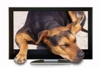 телевизори - 25442 новини телевизори - 21387 новини