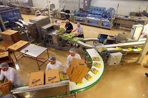 Signode - 57791 отстъпки