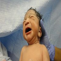 стволови клетки от млечен зъб - 11507 награди