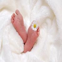 замразяване на стволови клетки - 83282 селекции